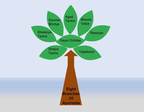 The eight branches of Ayurveda