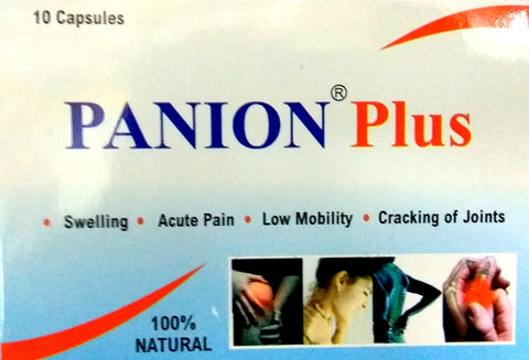 Panion Plus
